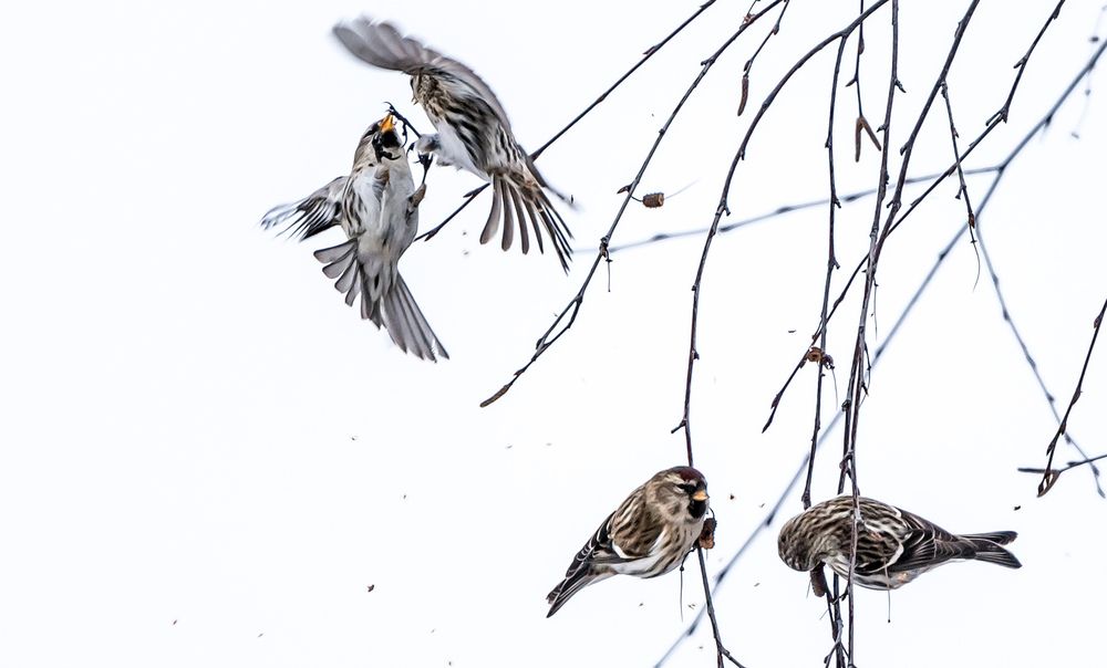 Photograph by Владимир Безбородов