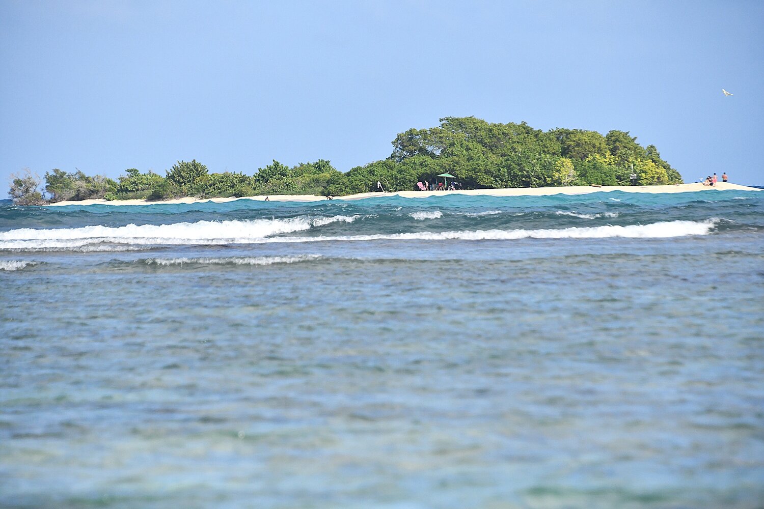 Photo #13091234