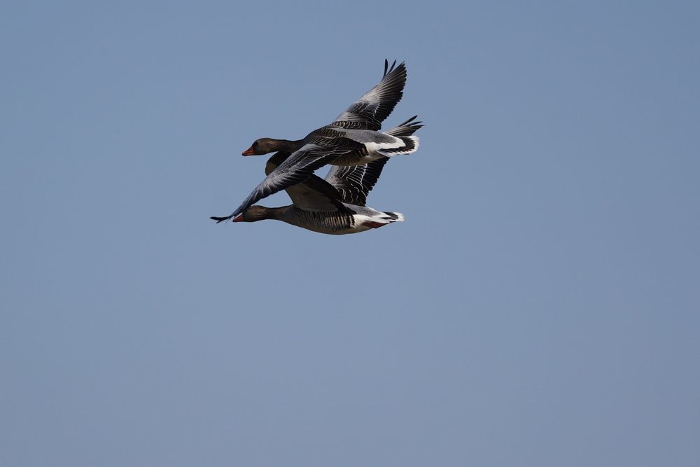 Photograph by Sergej Roor