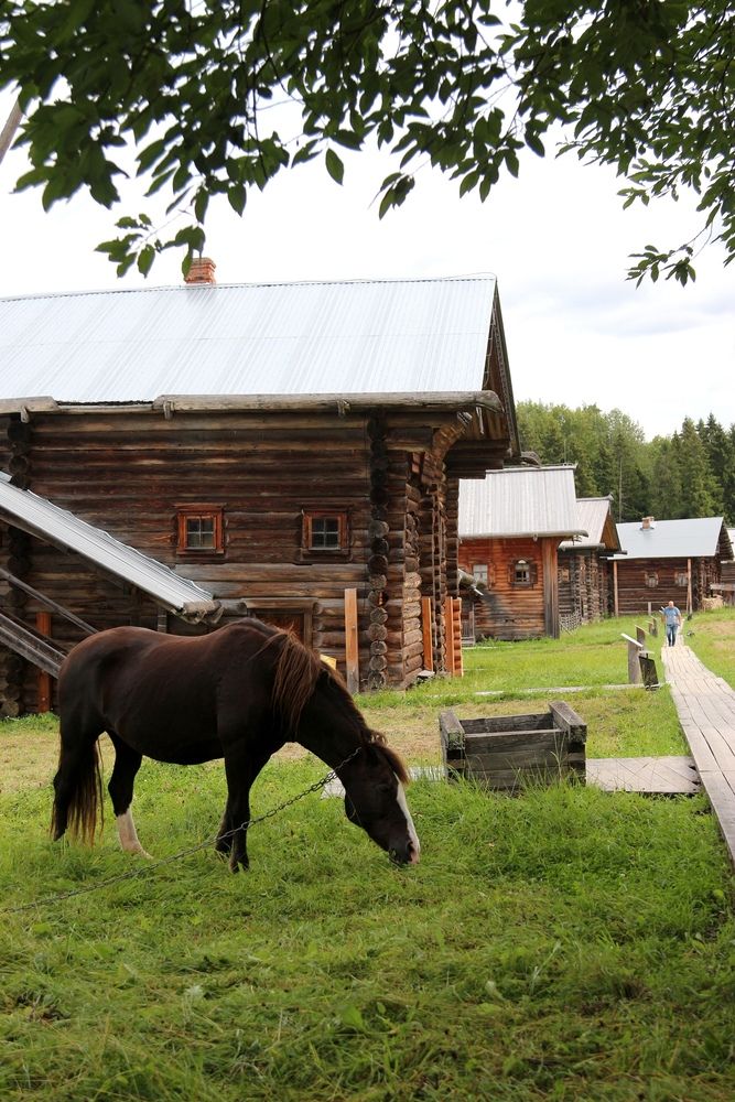 Photograph by Александра