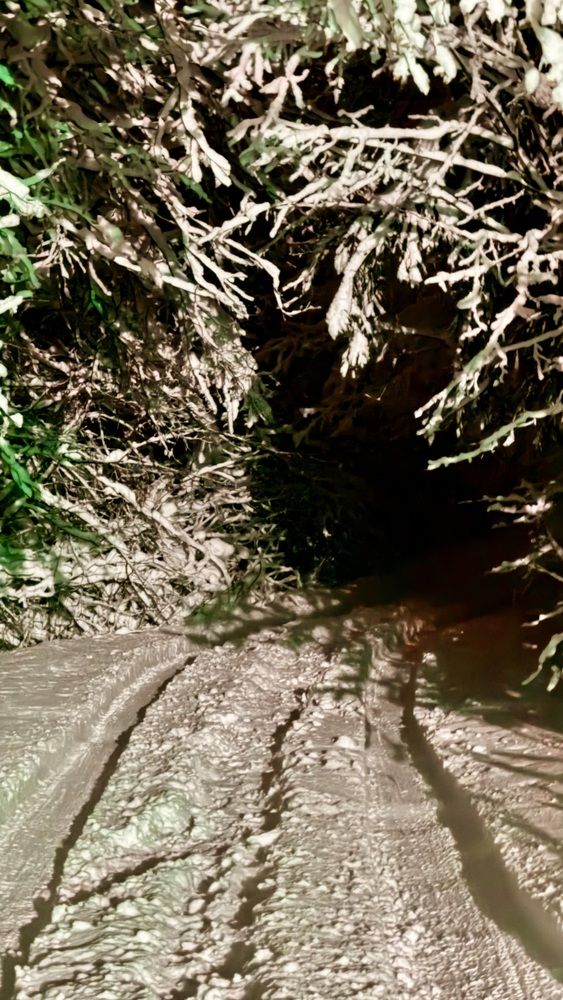 Поворот в чудо