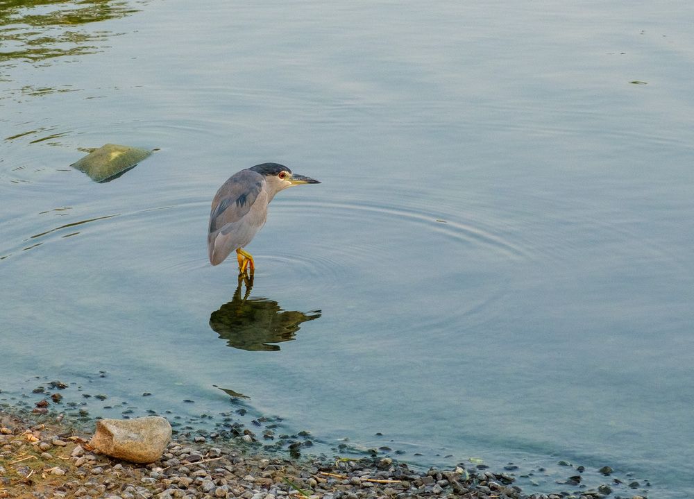 Фотография автора Наталья Липовская