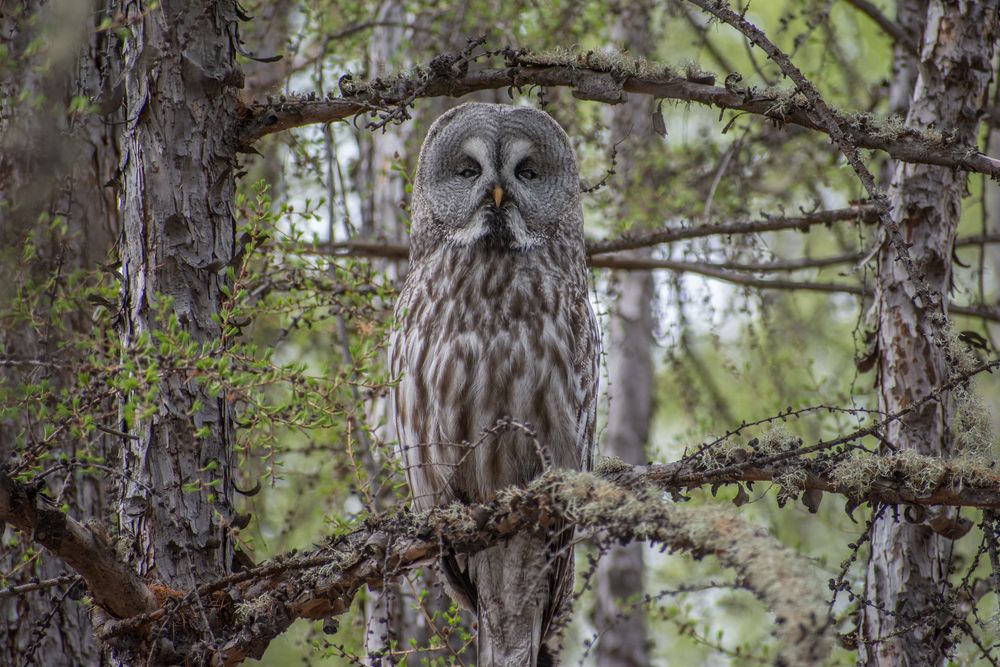 Photograph by Дмитрий Бочкарёв