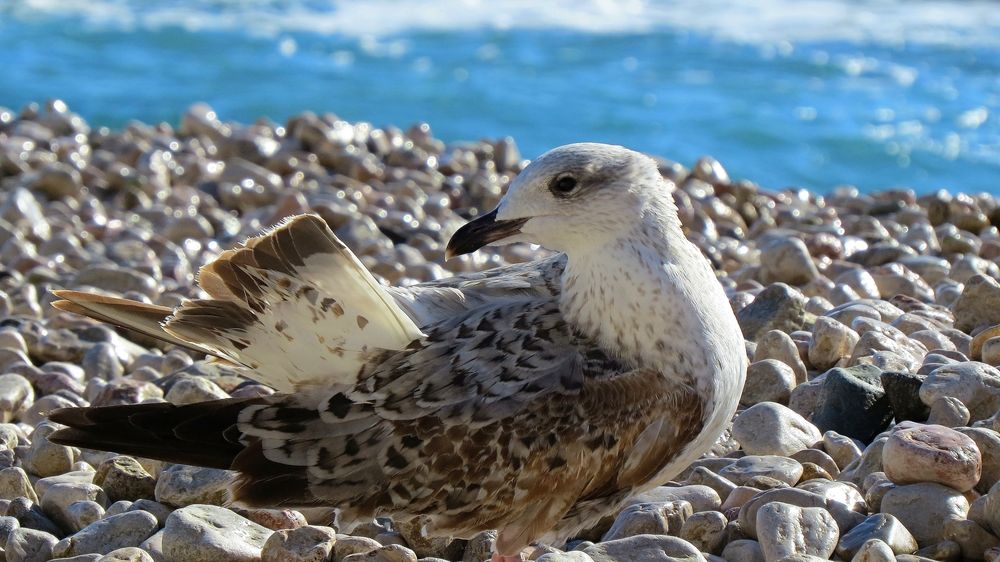 Photograph by Фартушняк Сергей