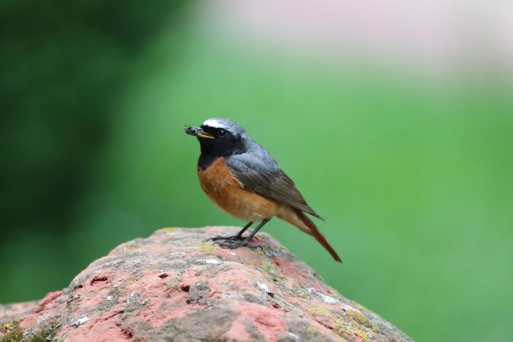 Photograph by Елена Иванкина