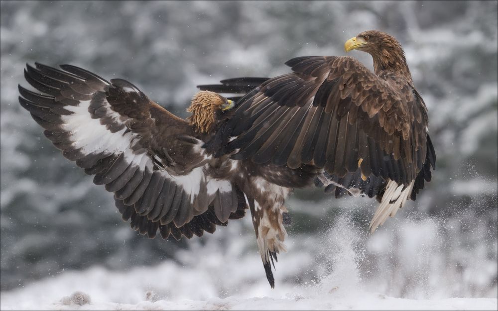 Photograph by Влад Соколовский
