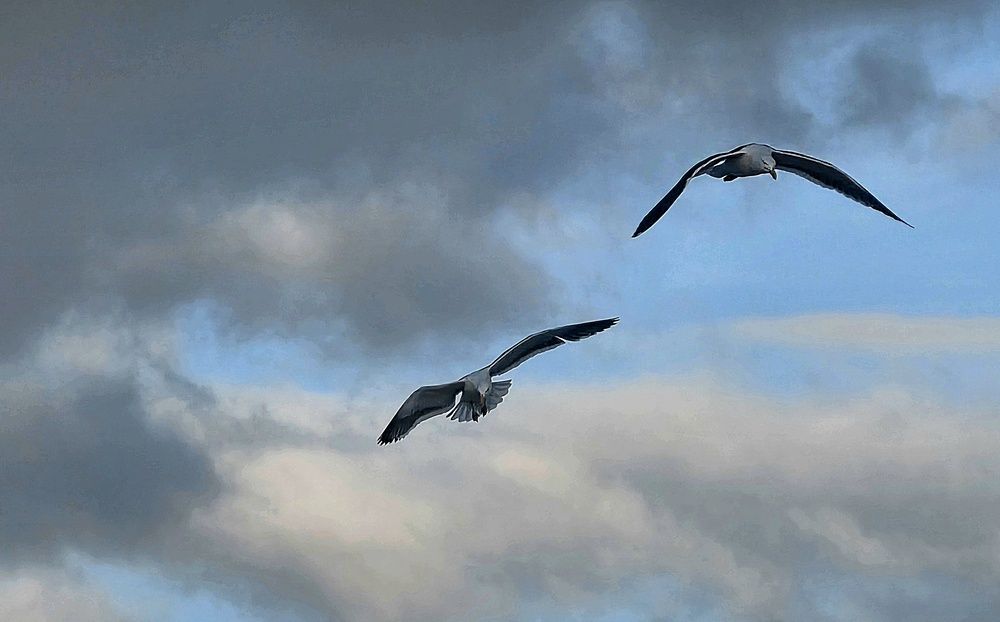 Фотография автора Nancy Scholtz