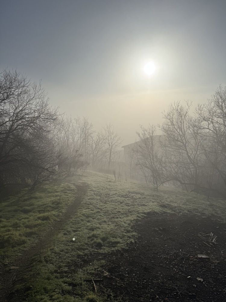 Photograph by Анна Льдинка