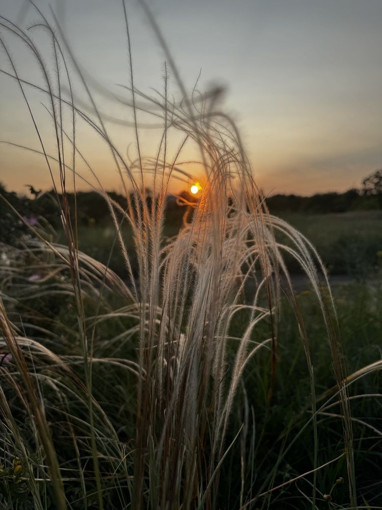 Photograph by Анна Льдинка