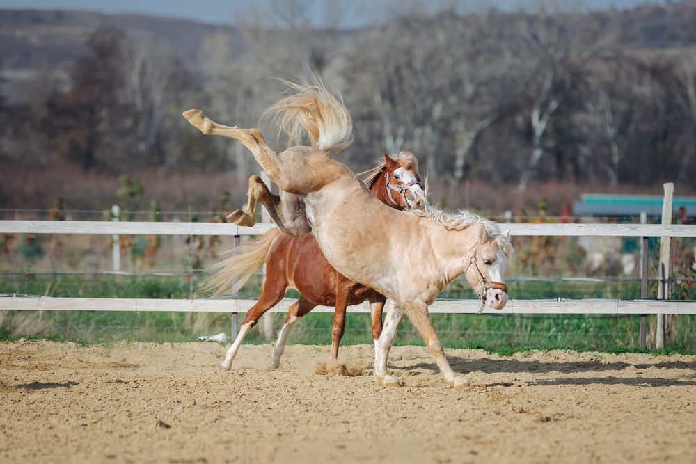 Photograph by Ирина Голомако