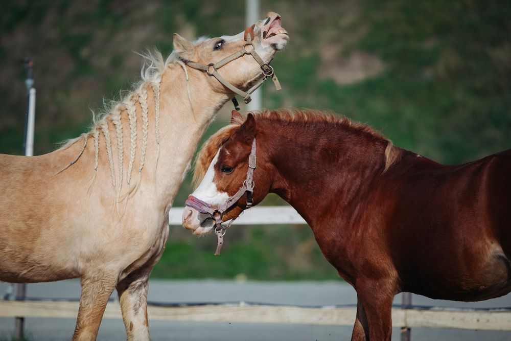 Photograph by Ирина Голомако