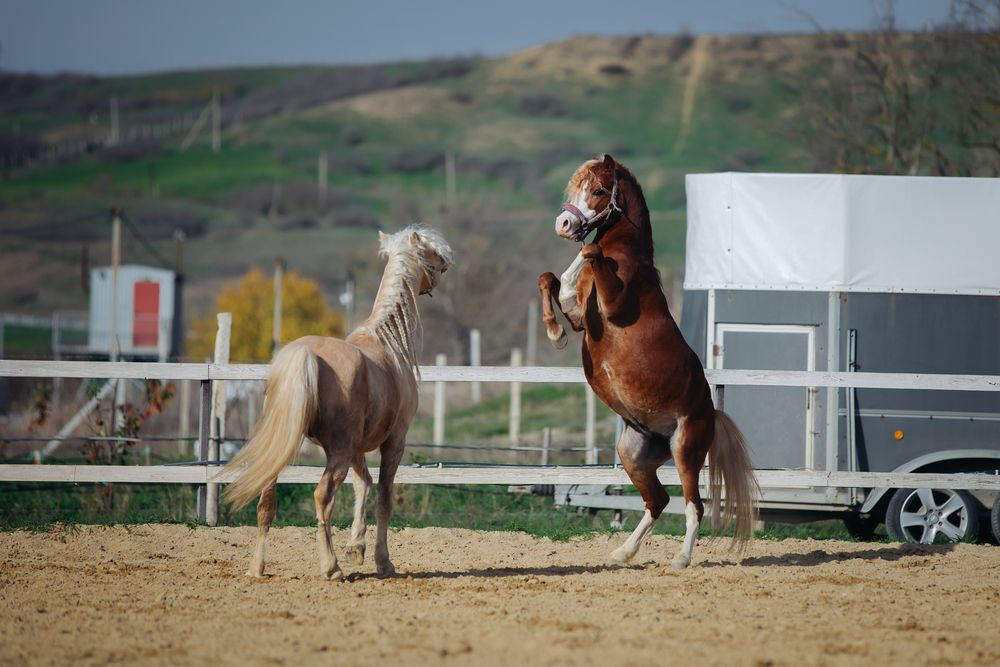 Photograph by Ирина Голомако