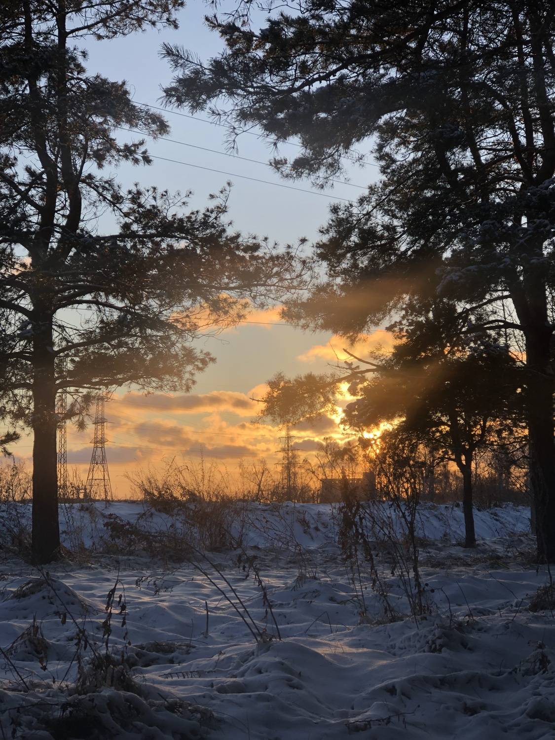 Зимний вечер