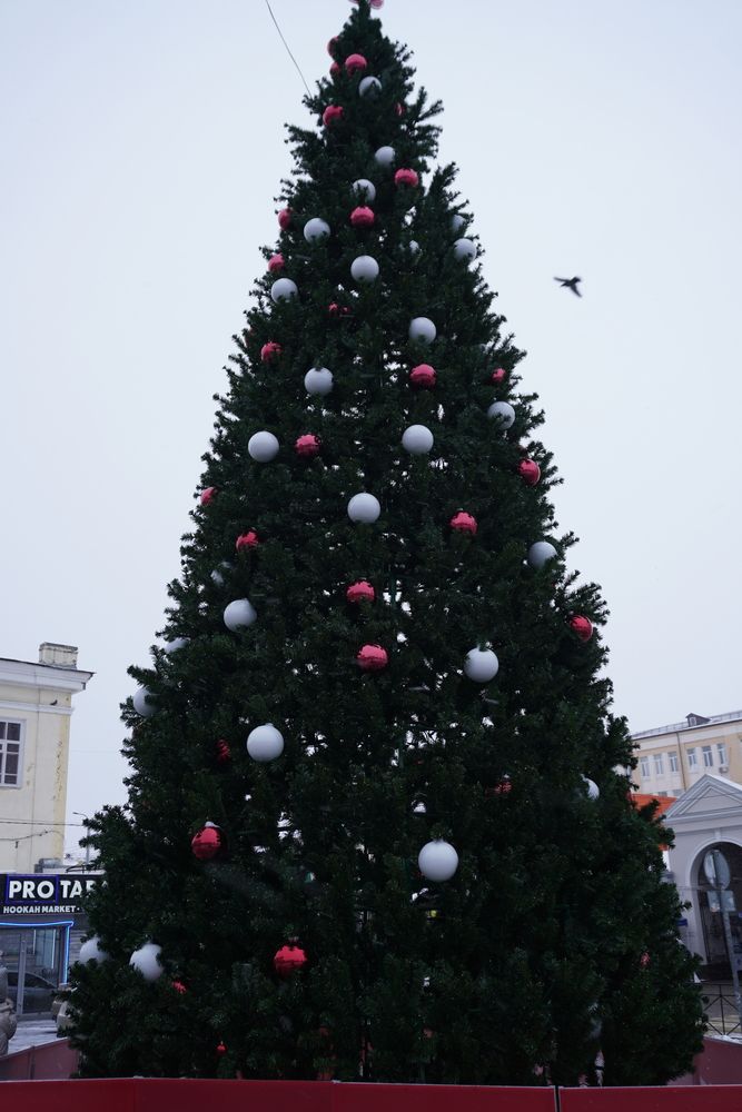 Photo #13091456