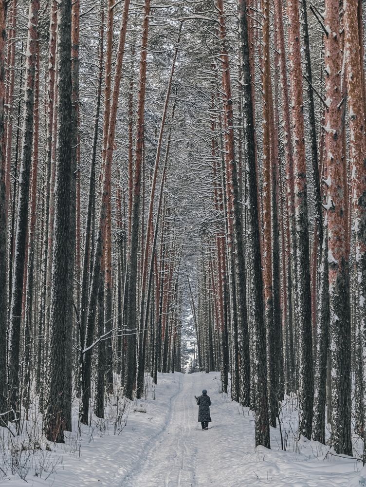 Photograph by Konstantin Martynov