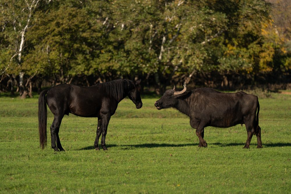 Фотография автора Марлен Маан