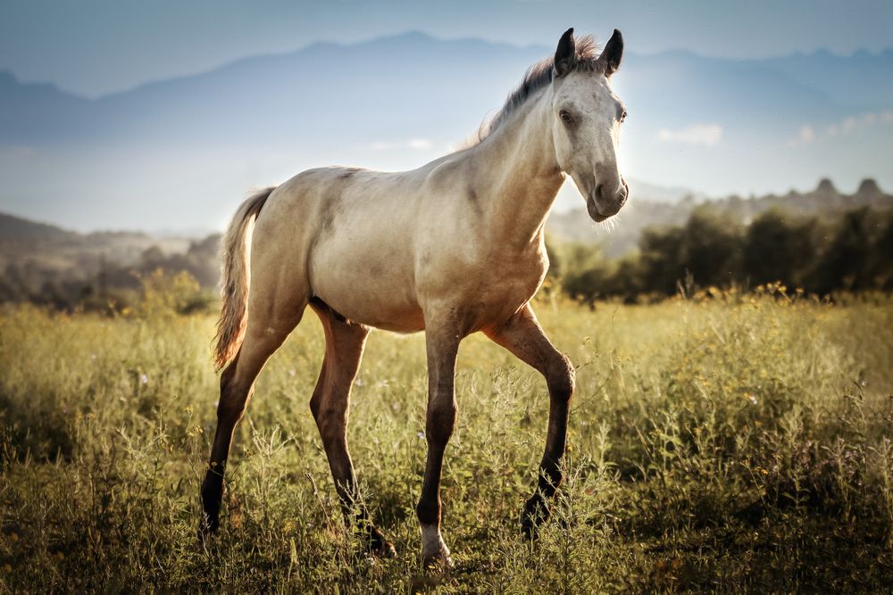 Photograph by Матюхина Наталья