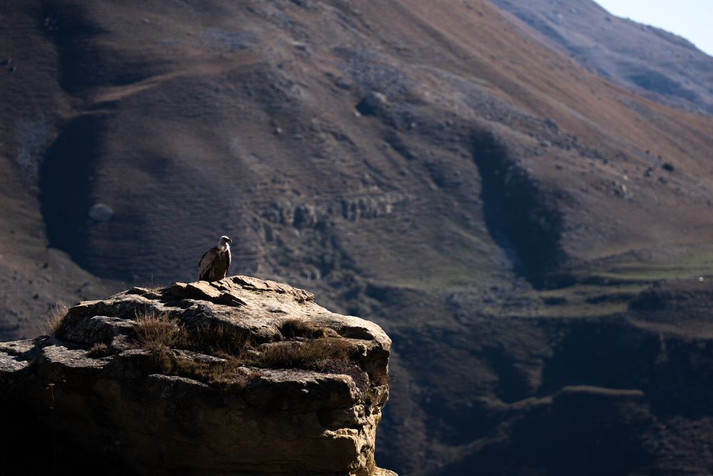 Photograph by Марлен Маан