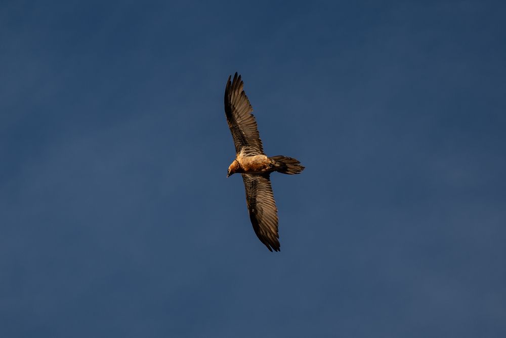 Photograph by Марлен Маан