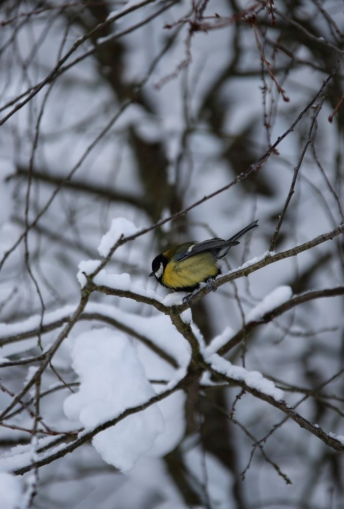 Photograph by Дарья Чистякова