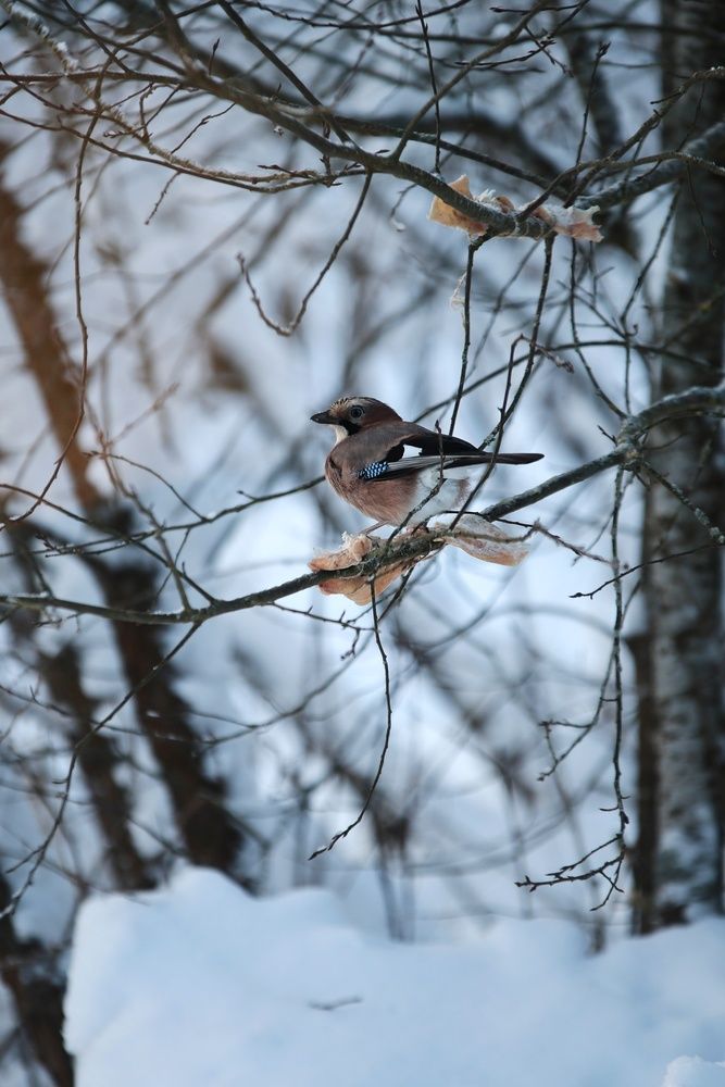 Photograph by Дарья Чистякова