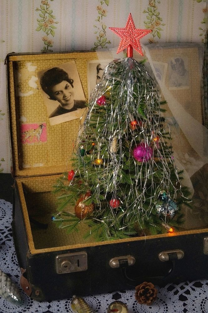 Фотография автора Ирина Чарыгина