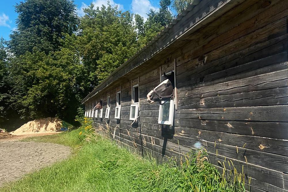 Фотография автора Маргарита Матвеенкова