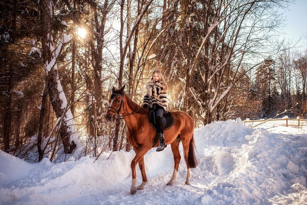 Фотография автора Маргарита Матвеенкова