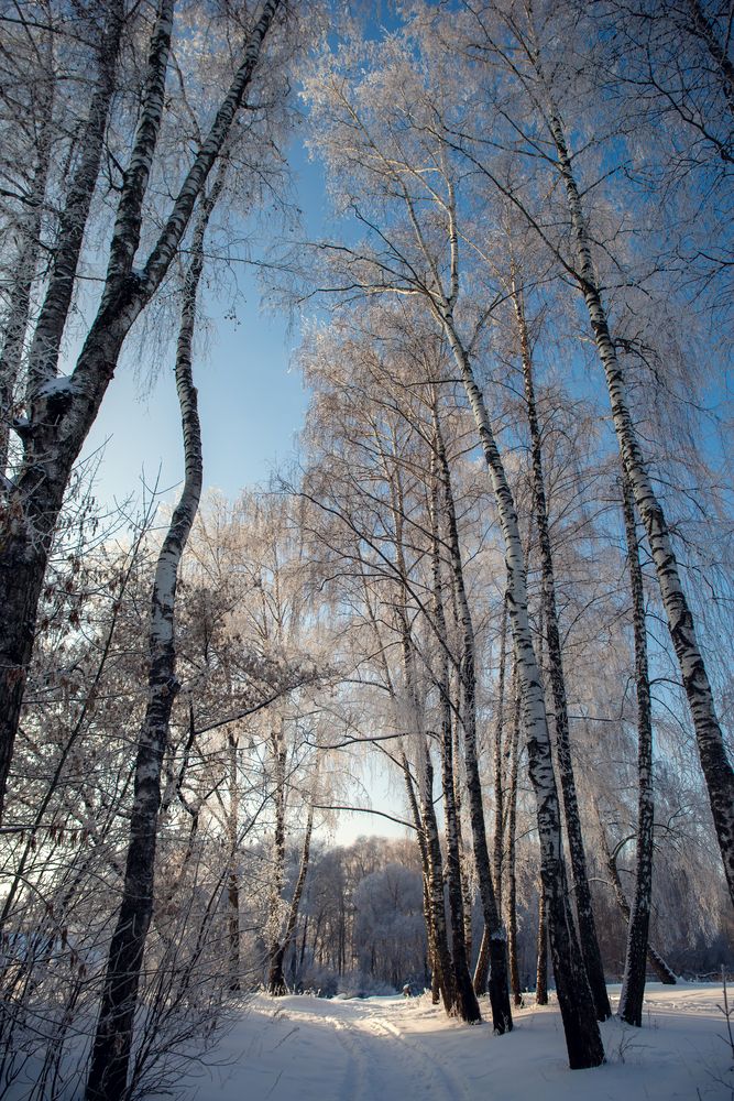 Фотография автора Маргарита Матвеенкова