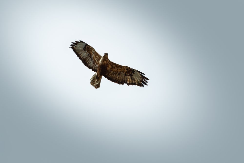 Фотография автора Tigran Simonyan