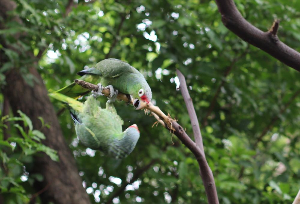 Photograph by Валентина