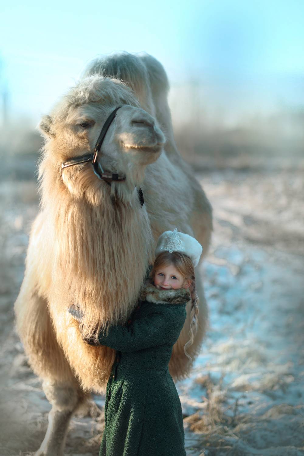 Фотография #13091637