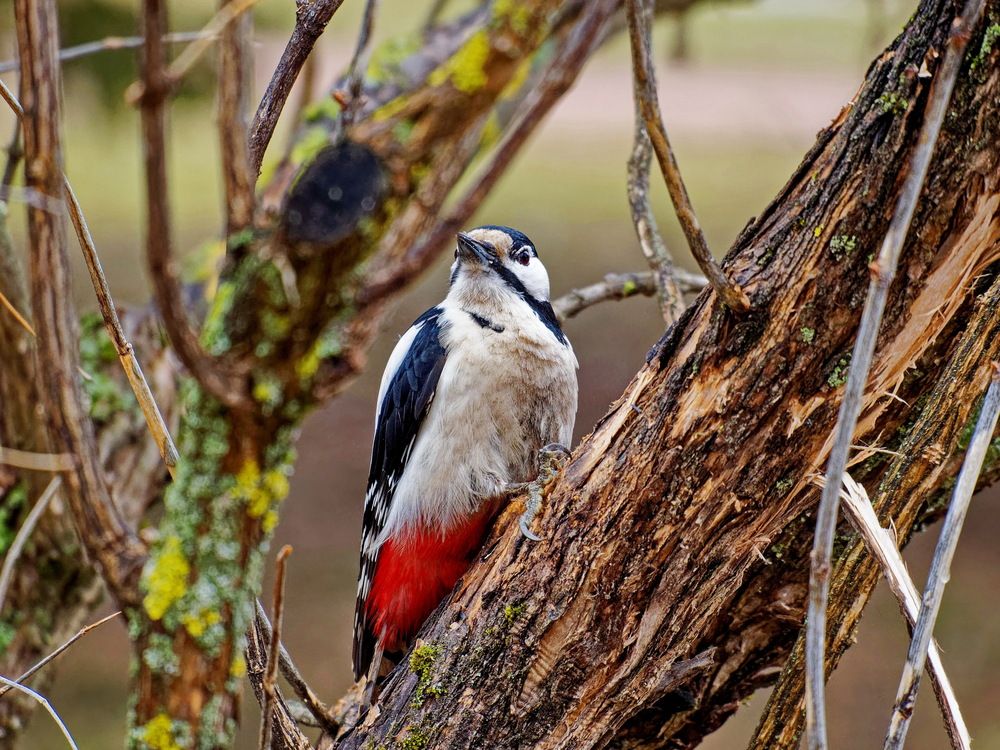 Photograph by Андрей Панин