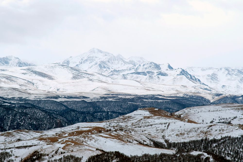 Фотография автора Васильев Роман