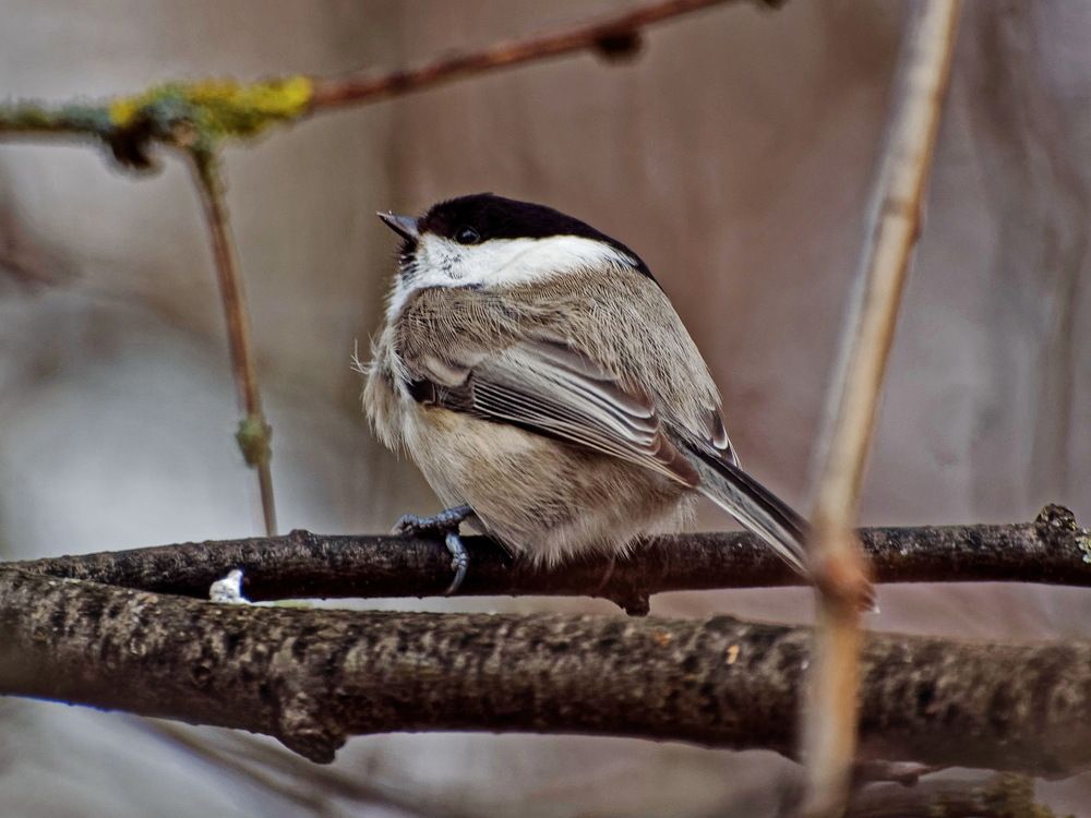 Photograph by Андрей Панин