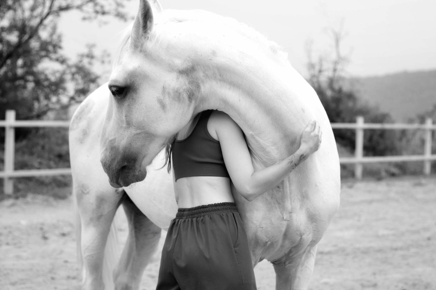 Фотография #13091670