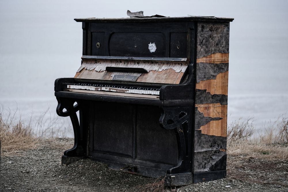 Фотография автора Васильев Роман