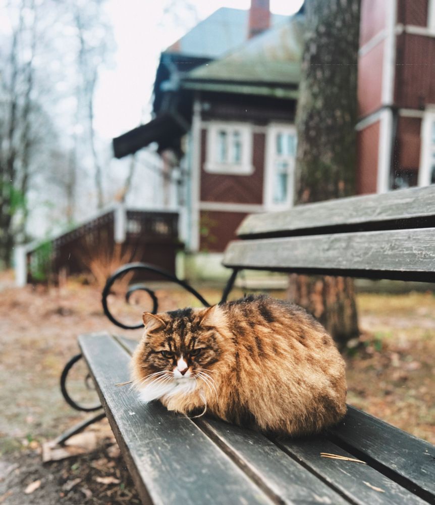 Photograph by Natalia Levenih