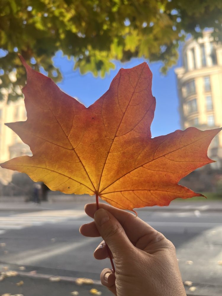 Photograph by Natalia Levenih