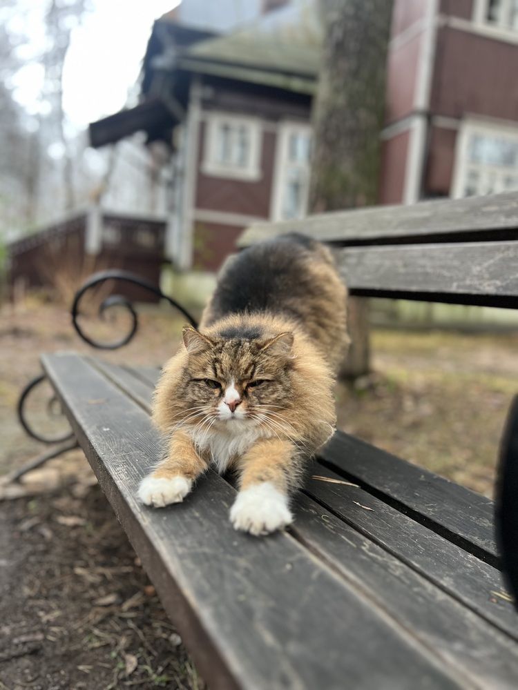 Photograph by Natalia Levenih