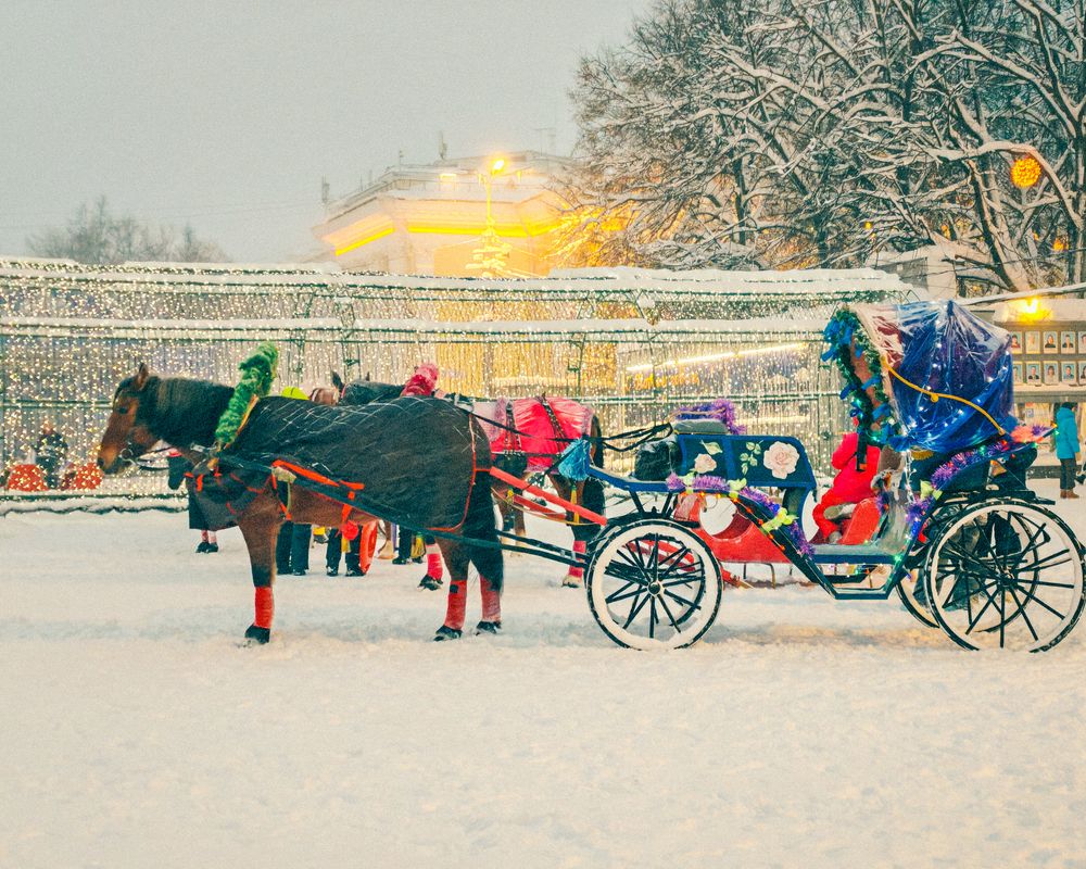 Photograph by Максим Кутсар