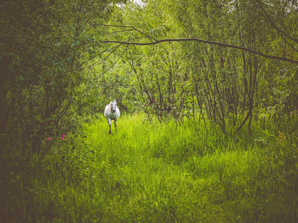 Photograph by Максим Кутсар