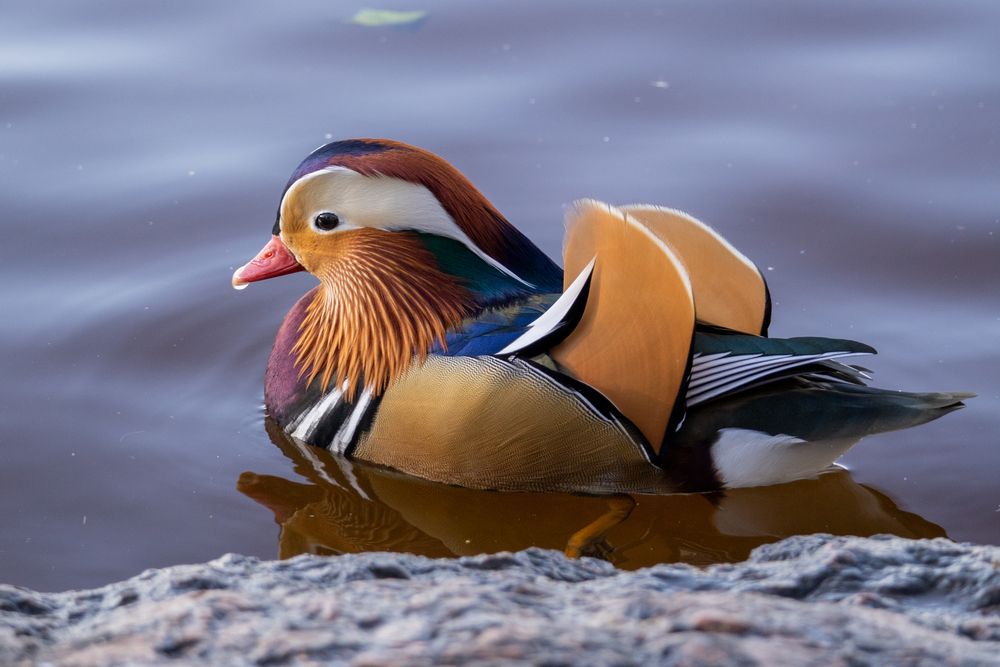 Photograph by Марина