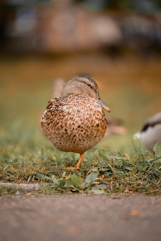 Photograph by Марина