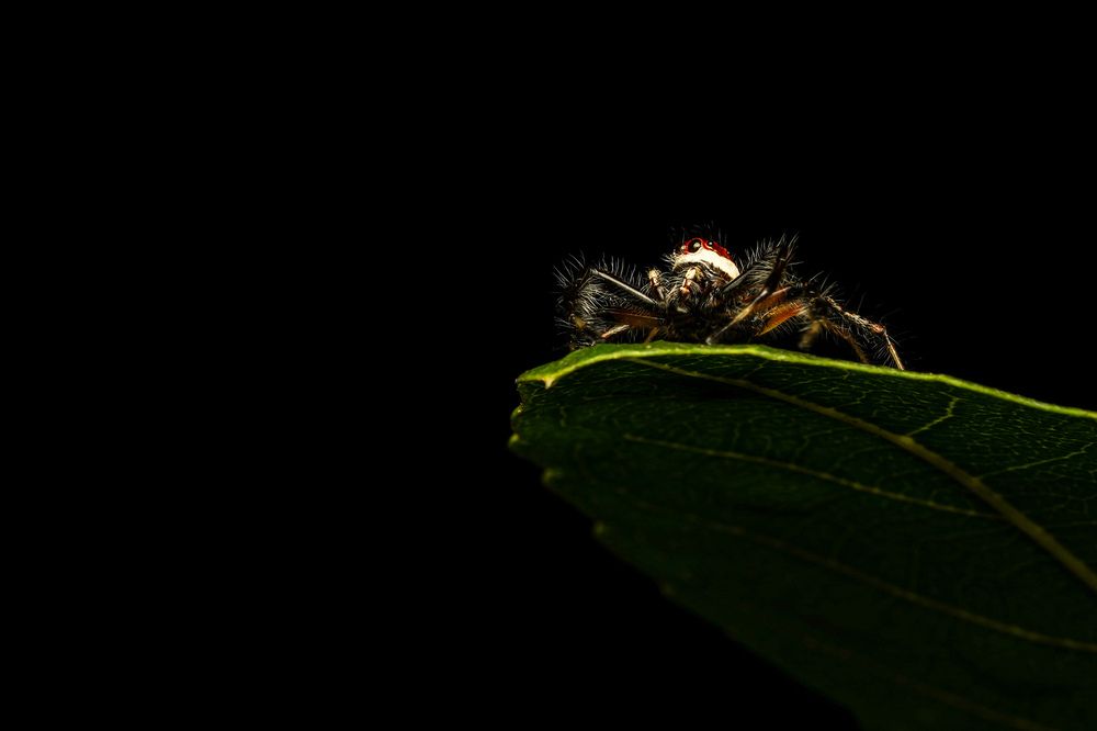 Photograph by Omkar Swamy
