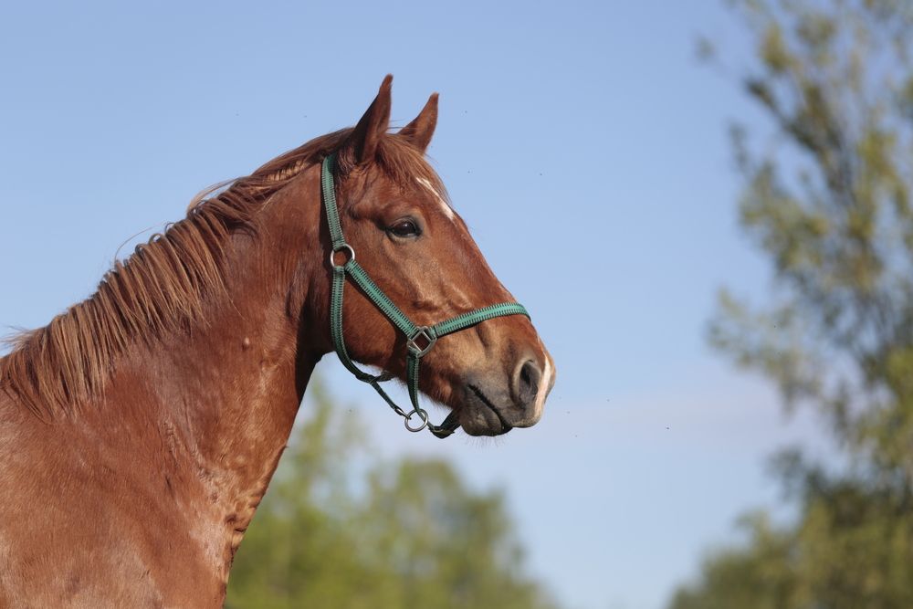 Photograph by Евгения Осипова