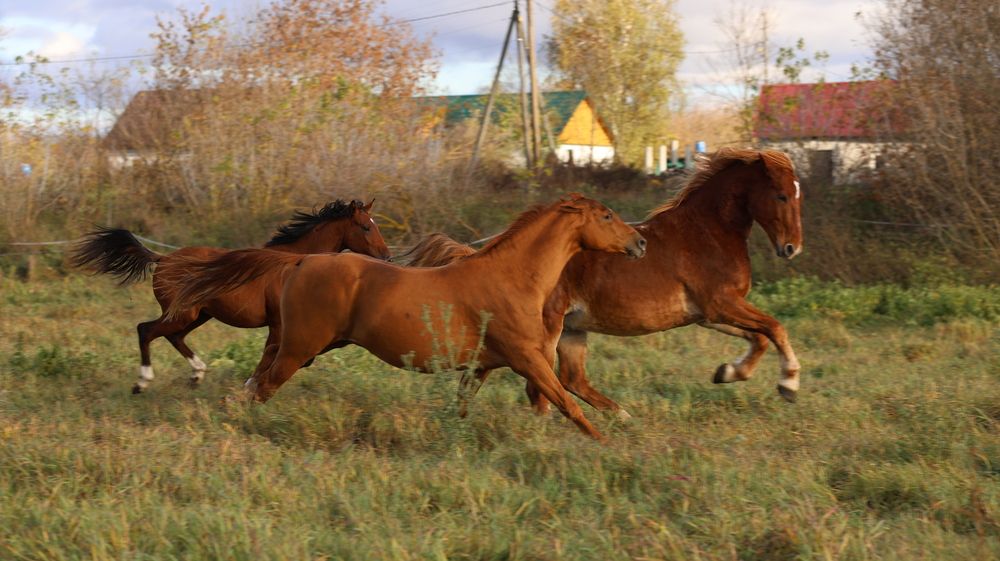 Photograph by Евгения Осипова