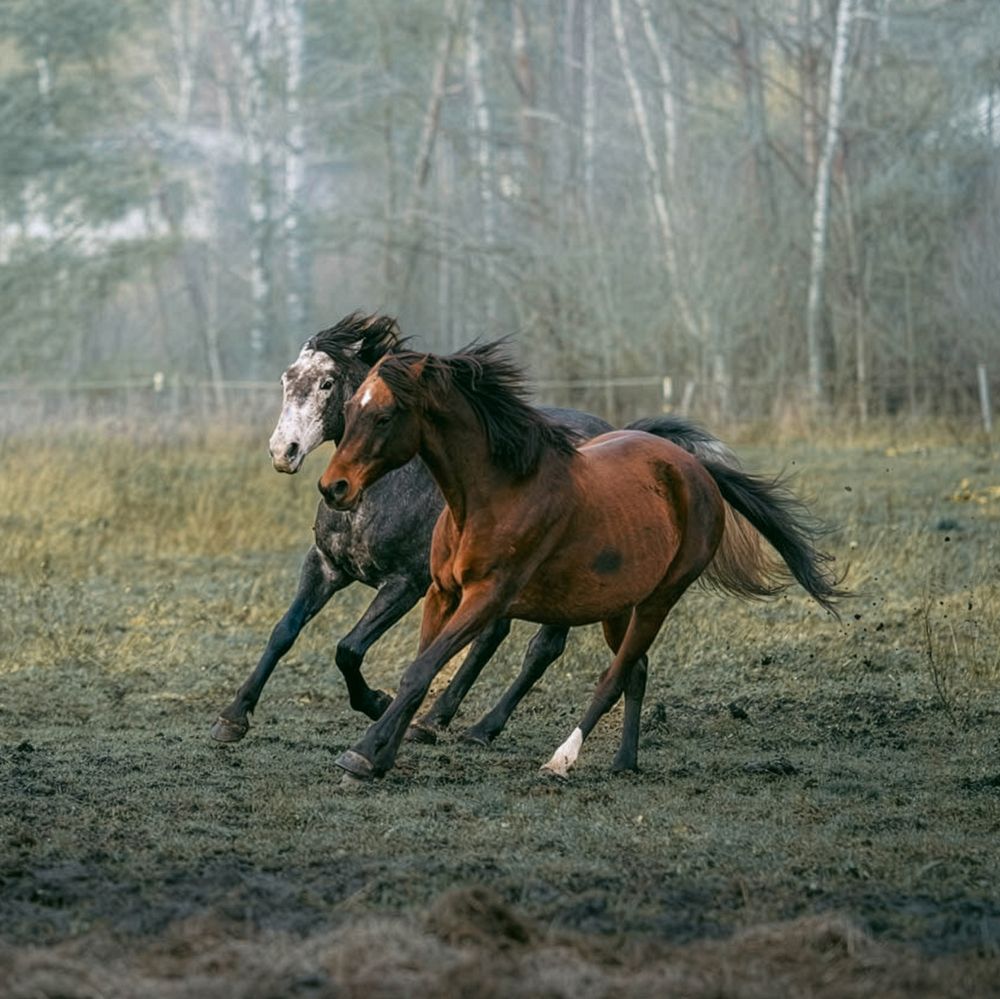 Фотография автора Jurijs Rudzeiss