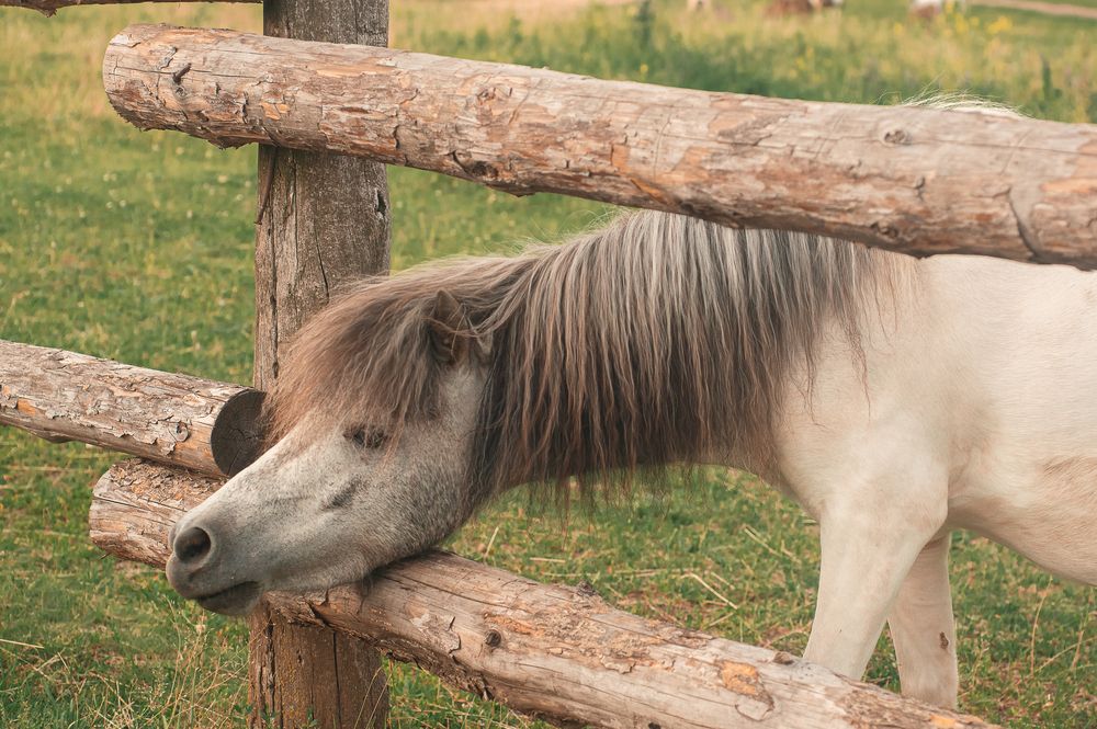 Photograph by Ольга Новикова