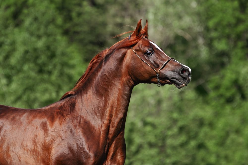 Photograph by Матюхина Наталья